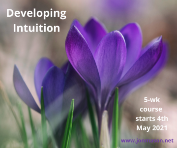 Developing Intuition - Revised Graphic